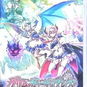 【中古】Switch グリム・ガーディアンズ サーヴァント・オブ・ザ・ダーク