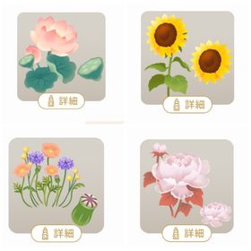 アイテム/SR/特別価格組合せセット 廃盤ツリー | リヴリーアイランドのアカウントデータ、RMTの販売・買取一覧