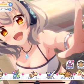 引退します | プリンセスコネクト(プリコネR)のアカウントデータ、RMTの販売・買取一覧