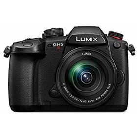 【中古】「非常に良い」パナソニック ミラーレス一眼カメラ ルミックス GH5M2 レンズキット 標準ズームレンズ付属 ブラック DC-GH5M2M(ミラーレス一眼)