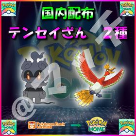 【配布バラ売り】「テンセイざん」全2体収録セット！ | ポケモン剣盾(ソードシールド)のポケモン、RMTの販売・買取一覧