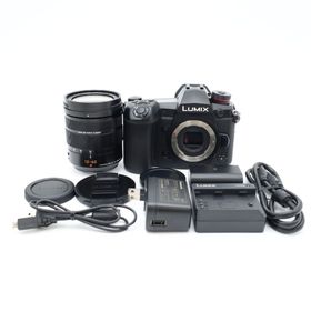 ★良品★ PANASONIC パナソニック LUMIX DC-G9L PRO (ミラーレス一眼)