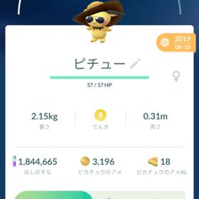 確定キラ 伝説 各種ピチュー バトル フル強化 色違い他 | ポケモンGOのアカウントデータ、RMTの販売・買取一覧