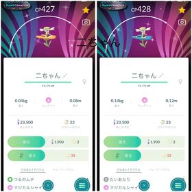 【非対面トレード】国産色違いフラベベ コミュニティデー背景 | ポケモンGOのアカウントデータ、RMTの販売・買取一覧