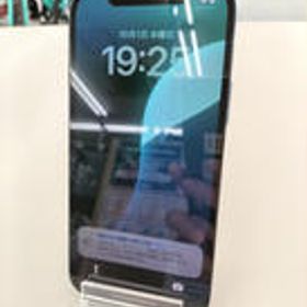 DOCOMO IPHONE12 PRO NGM83J/A APPLE