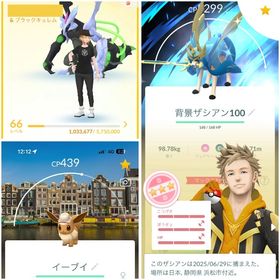 TL66 引退神垢 色違い・高個体多数、CitySafai参加、パス79枚‼️ | ポケモンGOのアカウントデータ、RMTの販売・買取一覧