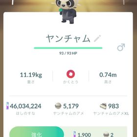 ゴロンダ 厳選 SL確定個体 | ポケモンGOのアカウントデータ、RMTの販売・買取一覧