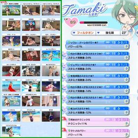 たまきLv89フィオナLv88 ポーズコンプ各32枚↑ SSS+高速周回可 | DOAXVV(DOA ヴィーナスバケーション)のアカウントデータ、RMTの販売・買取一覧