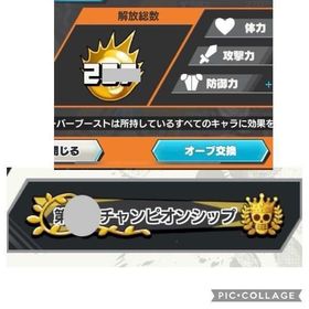 超フェス24 オバブ200 チャンピオンシップゴールド優勝 | バウンティラッシュのアカウントデータ、RMTの販売・買取一覧