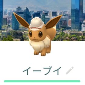 サファリ帽子イーブイ 背景トレード サンティアゴ ジャカルタ シンガポール ムンバイ XS | ポケモンGOのアカウントデータ、RMTの販売・買取一覧
