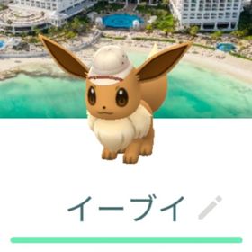 サファリ帽子イーブイ 背景トレード カンクン バンコク XS | ポケモンGOのアカウントデータ、RMTの販売・買取一覧