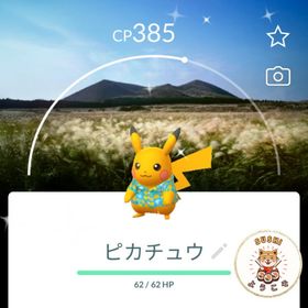 (アカウント-非対面トレード)✨色違いピカチュウスタンプラリー 済州島背景2025 | ポケモンGOのアカウントデータ、RMTの販売・買取一覧