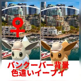 205⭐️PTC⭐️バンクーバー背景✨♀色違いイーブイ | ポケモンGOのアカウントデータ、RMTの販売・買取一覧