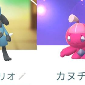 8895【PTC】メガエナジー有！ルカリオ12匹、カヌチャン2匹 他 | ポケモンGOのアカウントデータ、RMTの販売・買取一覧