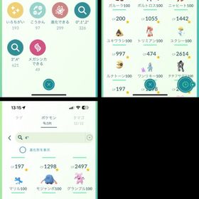 TL56 チーム黄 | ポケモンGOのアカウントデータ、RMTの販売・買取一覧