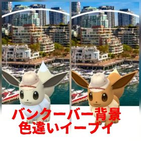 28⭐️PTC⭐️バンクーバー背景✨色違いイーブイ | ポケモンGOのアカウントデータ、RMTの販売・買取一覧