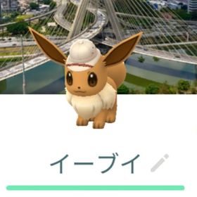 サファリ帽子イーブイ 背景トレード サンパウロ 香港 ソウル 台南 メキシコ バルセロナ XS | ポケモンGOのアカウントデータ、RMTの販売・買取一覧