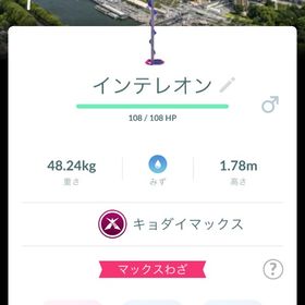 【非対面トレード】キョダイマックスインテレオンフランス フランス背景 | ポケモンGOのアカウントデータ、RMTの販売・買取一覧