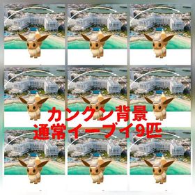 177⭐️PTC⭐️カンクン背景イーブイ9匹 | ポケモンGOのアカウントデータ、RMTの販売・買取一覧