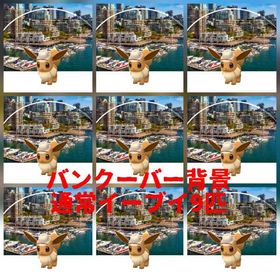 31⭐️PTC⭐️バンクーバー背景イーブイ9匹 | ポケモンGOのアカウントデータ、RMTの販売・買取一覧