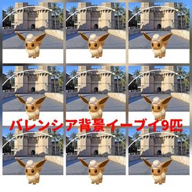 1467⭐️PTC⭐️バレンシア背景イーブイ9匹 | ポケモンGOのアカウントデータ、RMTの販売・買取一覧