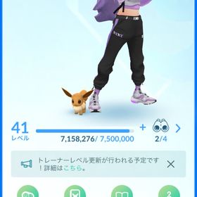 21年垢TL41 色違い281体 評価MAX 646体 対戦個体厳選あり | ポケモンGOのアカウントデータ、RMTの販売・買取一覧