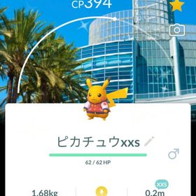 激レア！✨✨色違いピカチュウ背景付き超大超ミニサイズ！🎉🎉 | ポケモンGOのアカウントデータ、RMTの販売・買取一覧