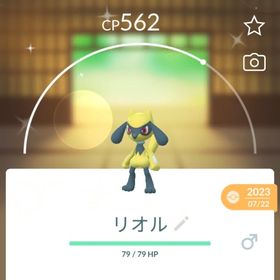レア✨孵化色違いリオル🎉 | ポケモンGOのアカウントデータ、RMTの販売・買取一覧