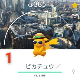激レア！✨✨７ヶ所背景付き色違いサマースタイルピカチュウ！🎉🎉 | ポケモンGOのアカウントデータ、RMTの販売・買取一覧