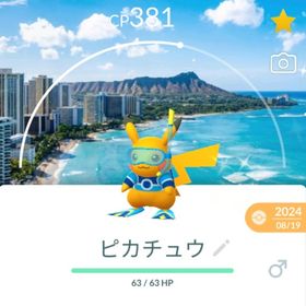 激レア！✨✨色違いピカチュウ背景付き！🎉🎉 | ポケモンGOのアカウントデータ、RMTの販売・買取一覧