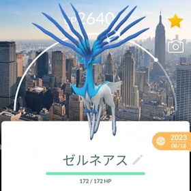 激レア！✨✨色違いゼルネアス背景付き、在庫1体のみ！🎉🎉 | ポケモンGOのアカウントデータ、RMTの販売・買取一覧