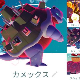 8567【PTC】砂100万以上！色違いキョダイマックスカメックス 他 | ポケモンGOのアカウントデータ、RMTの販売・買取一覧