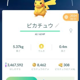 トレード 全て800円 ピカチュウ ピチュー 衣装 コスチューム 通常色 交換 | ポケモンGOのアカウントデータ、RMTの販売・買取一覧