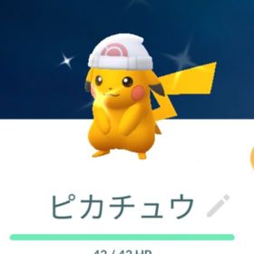 色違いシンオウ帽子ピカチュウ トレード XL | ポケモンGOのアカウントデータ、RMTの販売・買取一覧