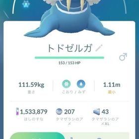 つららばり持ち解放済みトドゼルガ2体（ハイパー、スーパー） | ポケモンGOのアカウントデータ、RMTの販売・買取一覧