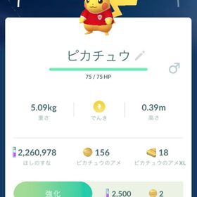 インドネシアサッカーピカチュウ３匹 | ポケモンGOのアカウントデータ、RMTの販売・買取一覧
