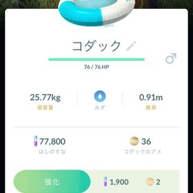 【PTC - トレード】✨色違いゴダック浮き輪『 SP背景 』 | ポケモンGOのアカウントデータ、RMTの販売・買取一覧