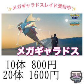 【✨】メガギャラドスレイドデイ捕獲 | ポケモンGOのアカウントデータ、RMTの販売・買取一覧