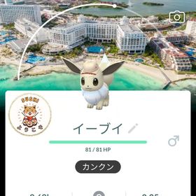 (非対面トレード)✨色違いイーブイサファリ メキシコ-カンクン背景🇲🇽 | ポケモンGOのトレード(モンスター)、RMTの販売・買取一覧