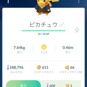 特殊ピカチュウ交換します | ポケモンGOの代行、RMTの販売・買取一覧