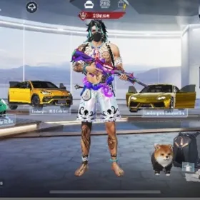 このスキンとM4セットで探してます。| PUBG MOBILEのアカウントデータ、RMTの販売・買取一覧