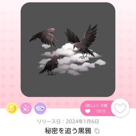 秘密を追う黒鴉 | ポケコロツイン(ポケツイ)のアイテム、RMTの販売・買取一覧