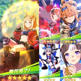 エスポワールシチー完凸 星3以上キャラ45体 石65000 未連携 誕生日未設定 初期アカウント | ウマ娘のアカウントデータ、RMTの販売・買取一覧