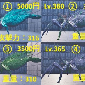 🦋リニオグナタ大量出品✨【ARK ASA公式PVE】日本人運営＆迅速対応 | ARK Survival Evolvedのアカウントデータ、RMTの販売・買取一覧