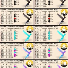 🐦🔥Lv.1フェニックス🐦🔥【全5色】 ASA 公式PvE | ARK Survival Evolvedのアカウントデータ、RMTの販売・買取一覧