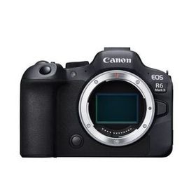 中古 １年保証 美品 Canon EOS R6 Mark II ボディ