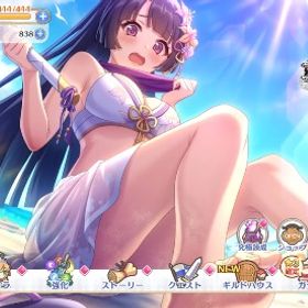 プリコネ廃課金引退垢 フェス限フルコンプ 即購入⭕️ | プリンセスコネクト(プリコネR)のアカウントデータ、RMTの販売・買取一覧