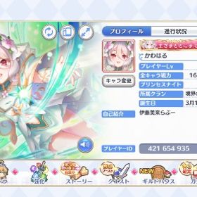 プリコネ コラボキャラ多数垢 | プリンセスコネクト(プリコネR)のアカウントデータ、RMTの販売・買取一覧