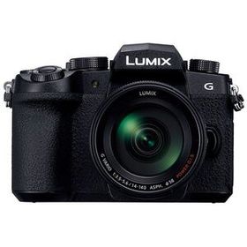 中古 1年保証 美品 Panasonic LUMIX G99 高倍率ズームレンズキット [DC-G99H-K]