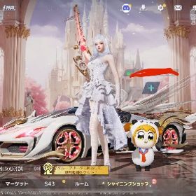 ‼️急ぎ、即日対応‼️引退垢 引退アカウント | 荒野行動のアカウントデータ、RMTの販売・買取一覧